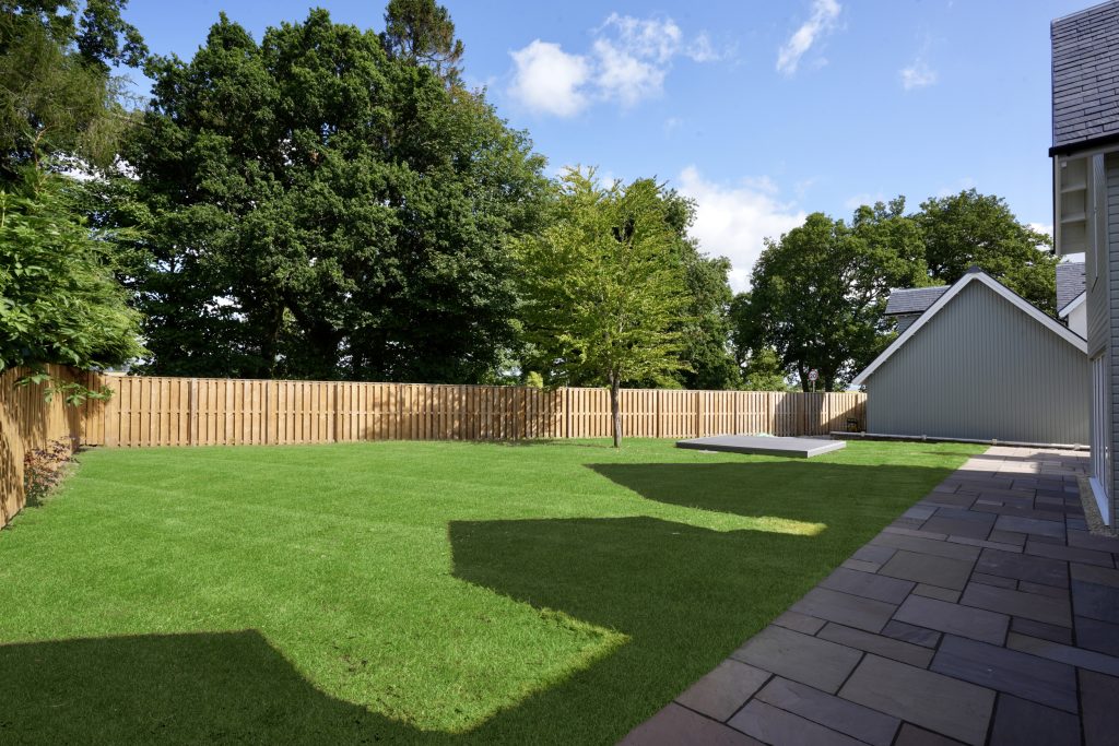 21_grass_replacement_2.jpg