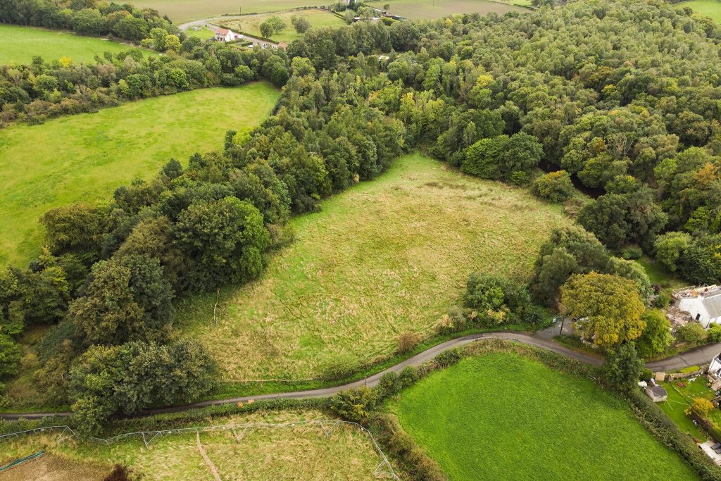 dji_fly_20260918_120614_658_1789729594842_photo_optimized.jpg