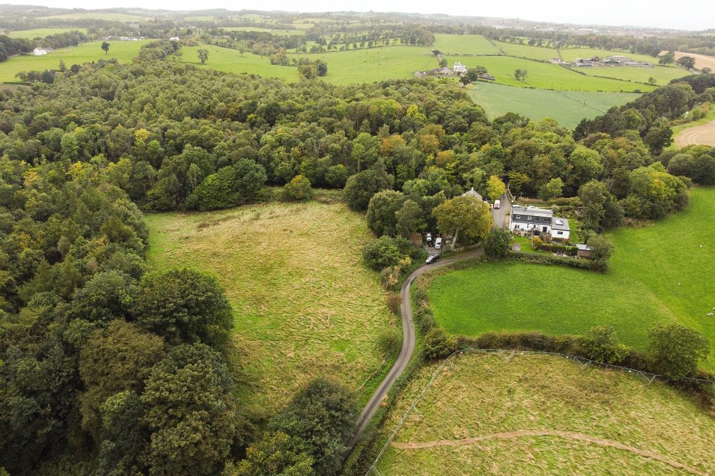 dji_fly_20260918_120816_664_1789729757971_photo_optimized.jpg
